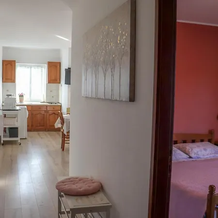 Apartment Anna 350m From The Beach Medulin